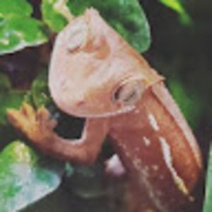 Meet your Posher, Sutamas